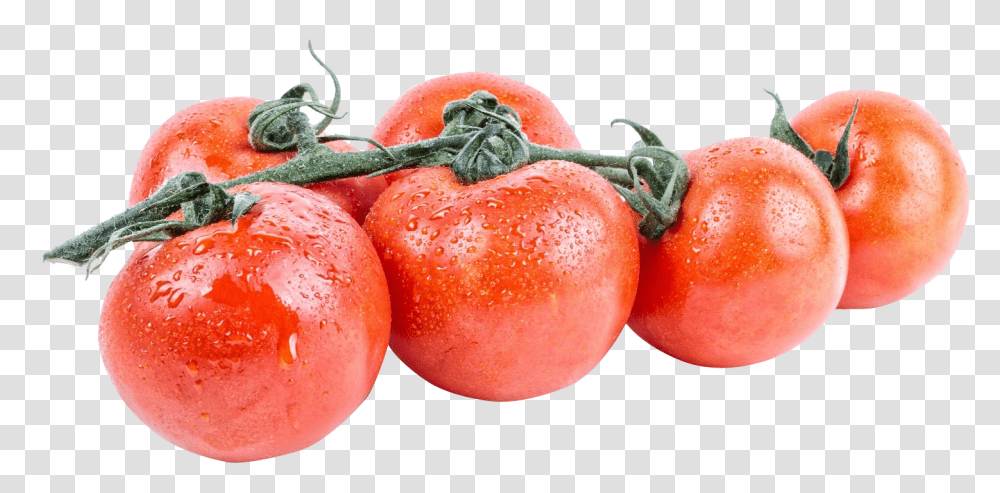 Download Tomato Image For Free Tomato, Plant, Vegetable, Food, Lobster Transparent Png