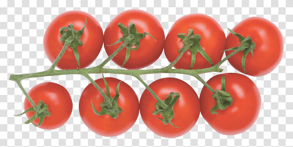 Download Tomatoes Image For Free Tomato Background Transparent Png