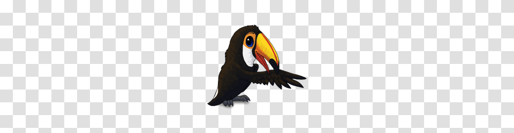 Download Toucan Category Clipart And Icons Freepngclipart, Beak, Bird, Animal Transparent Png