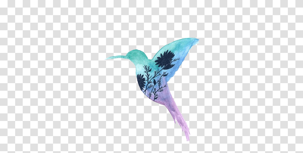 Download Transparentswatercolor Animals Tumblr Hummingbird And Flowers, Beak, Kiwi Bird, Art, Graphics Transparent Png