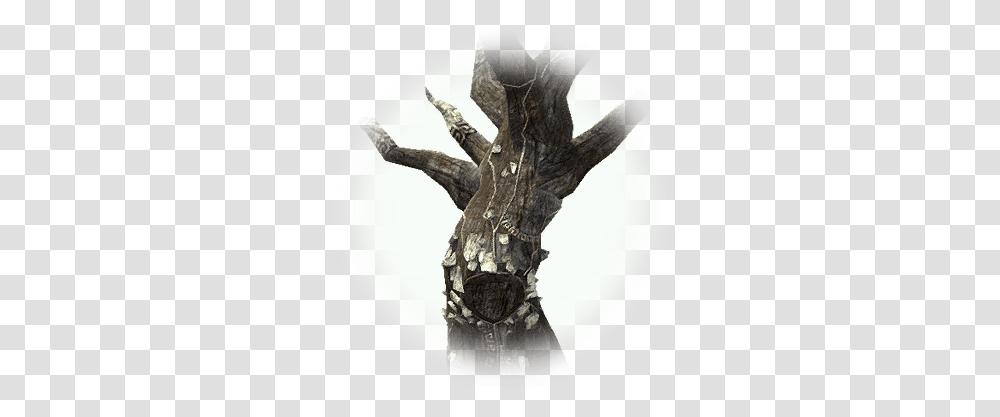 Download Treant Old Tree Crystal, Wood, Cross, Symbol, Hand Transparent Png