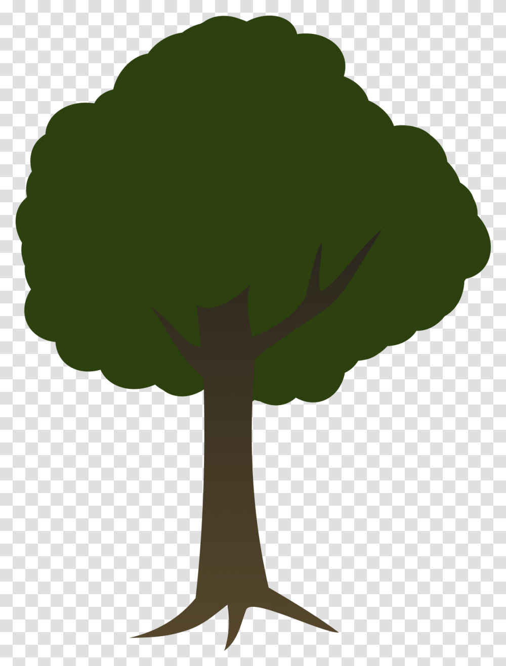 Download Tree 2d Tree Background Image Tree, Plant, Vegetable, Food, Cabbage Transparent Png