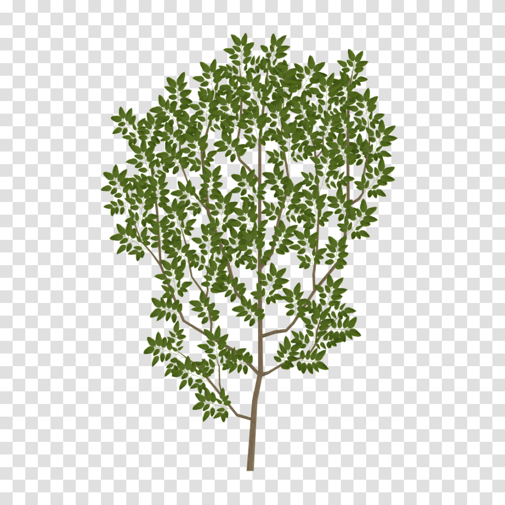 Download Tree Branch Texture Image With No Tree Leaves Texture, Green, Plant, Vegetation, Grass Transparent Png
