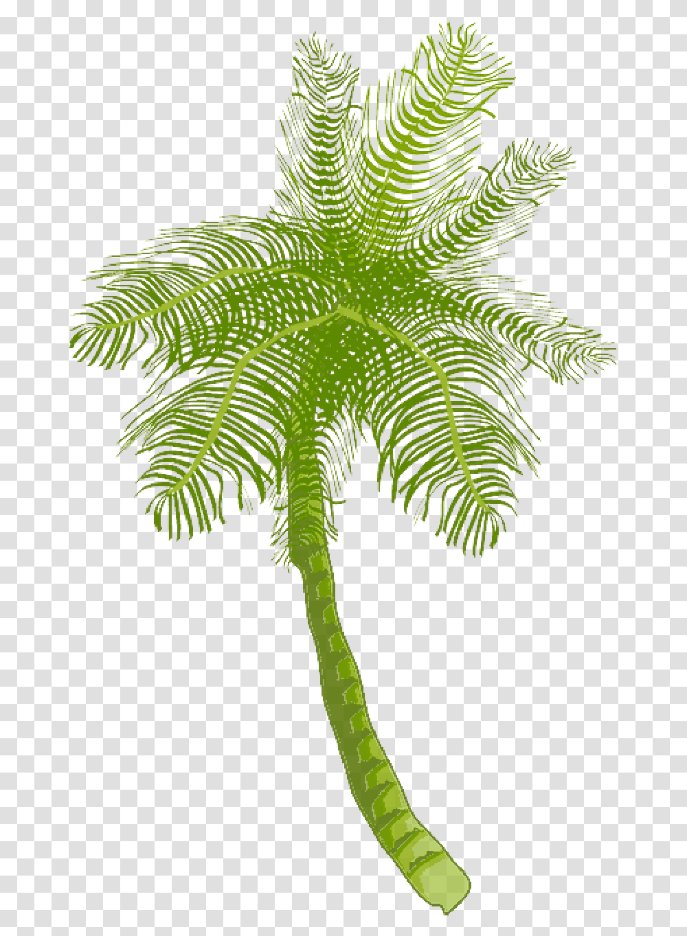 Download Tree Ocean Summer Vacation Beach Palm Leaf Coconut Tree Clip Art, Plant, Palm Tree, Arecaceae, Cross Transparent Png