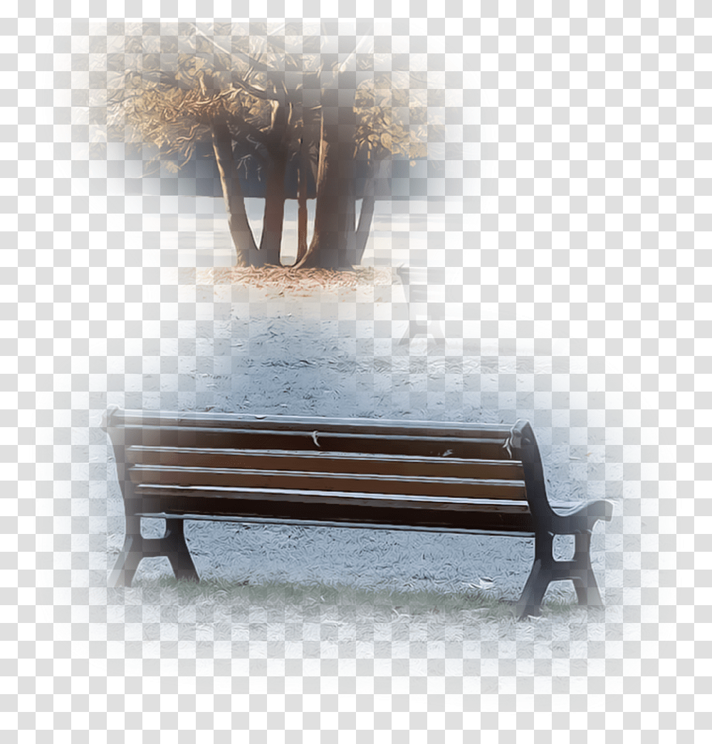 Download Tree Park Bench Garden Field Nature Foreground Bench, Furniture, Plant, Tree Trunk Transparent Png