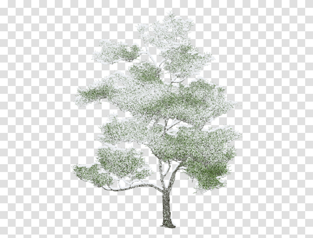 Download Tree Photoshop Arbre Trees Elevation For Photoshop, Plant, Bird, Animal, Ice Transparent Png