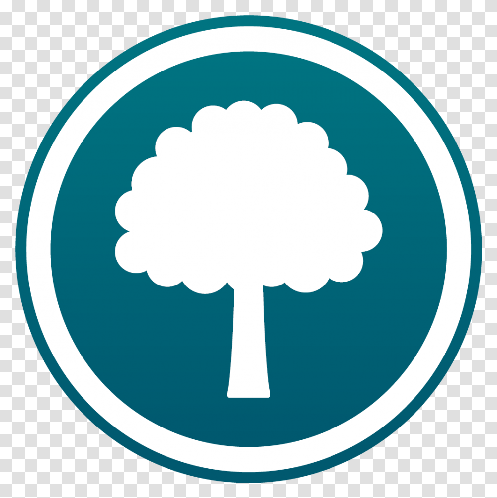 Download Tree Program Icon Blue Tree Icon, Nature, Outdoors, Sky, Symbol Transparent Png