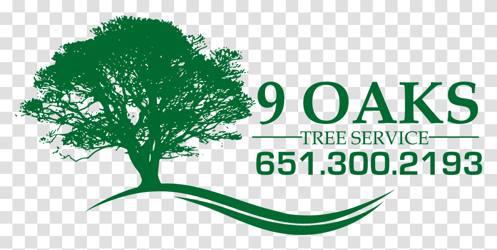 Download Tree Service Woodbury Mn Green Oak Tree Background Oak Tree, Text, Number, Symbol, Plant Transparent Png
