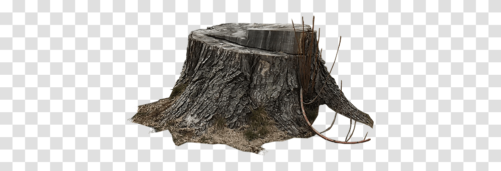 Download Tree Stump Solid Transparent Png