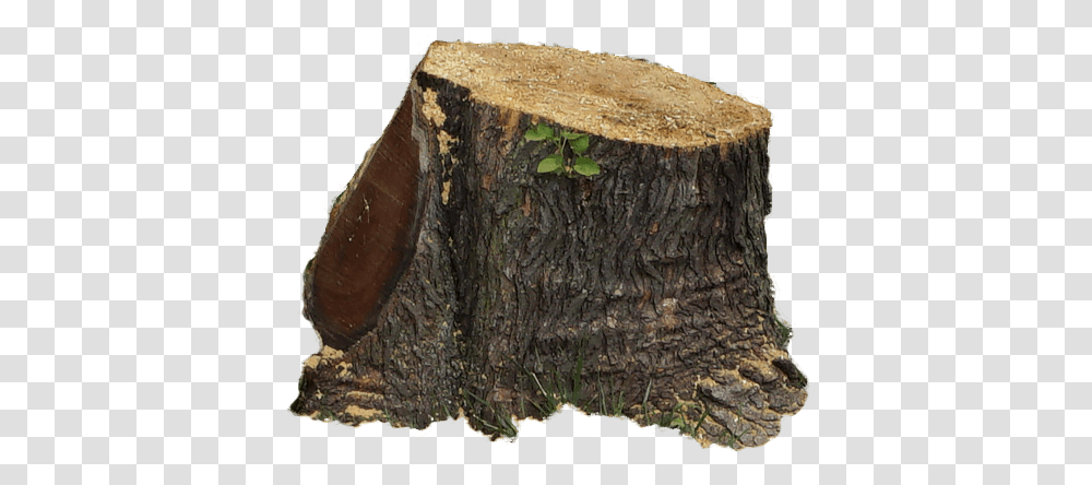 Download Tree Tree Stump Full Size Image Pngkit Solid, Plant, Axe, Tool, Tree Trunk Transparent Png