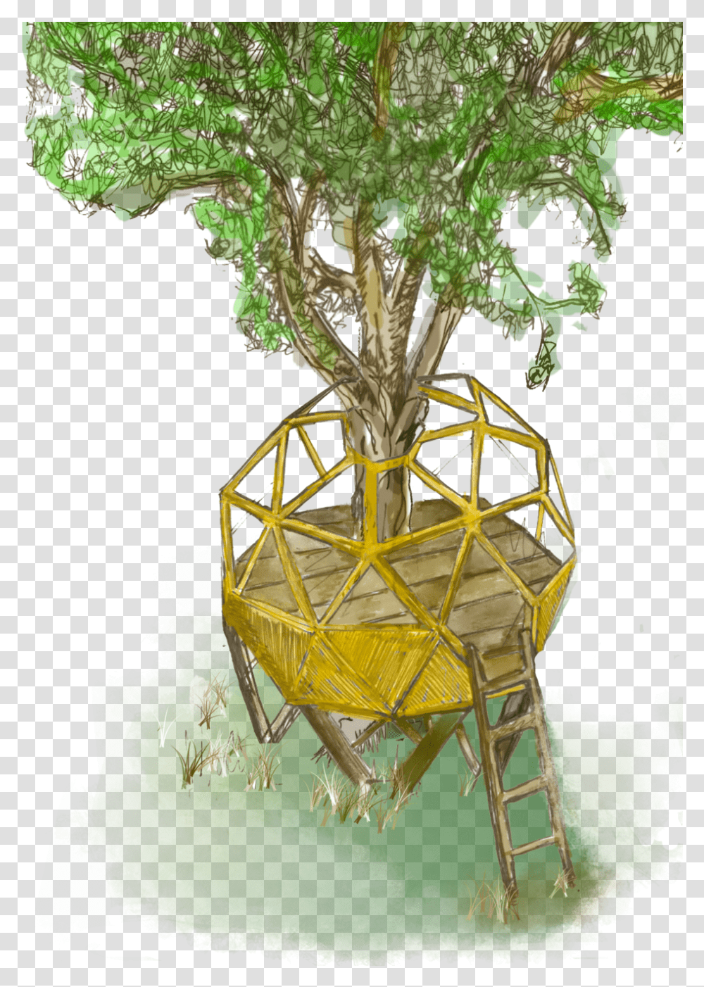 Download Treehouse Image With No Tree House, Plant, Bird, Animal Transparent Png