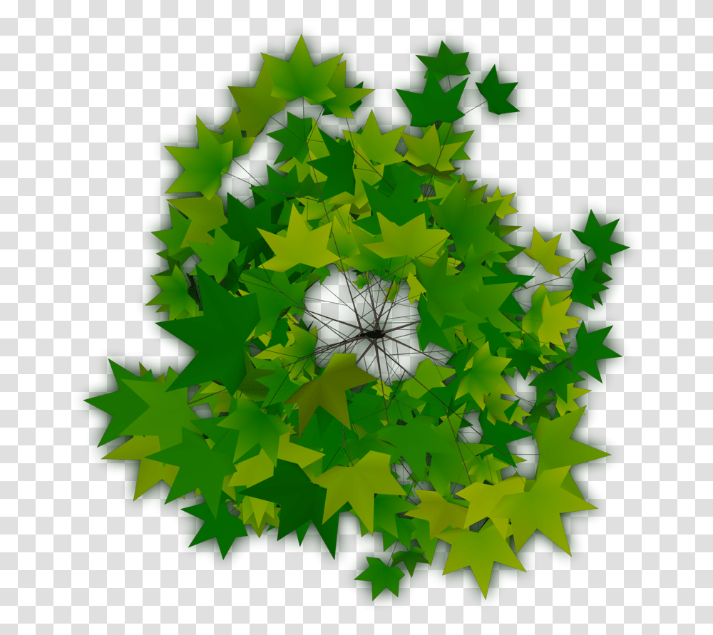 Download Trees Plan Top View Of Tree Icon, Leaf, Plant, Green, Pattern Transparent Png