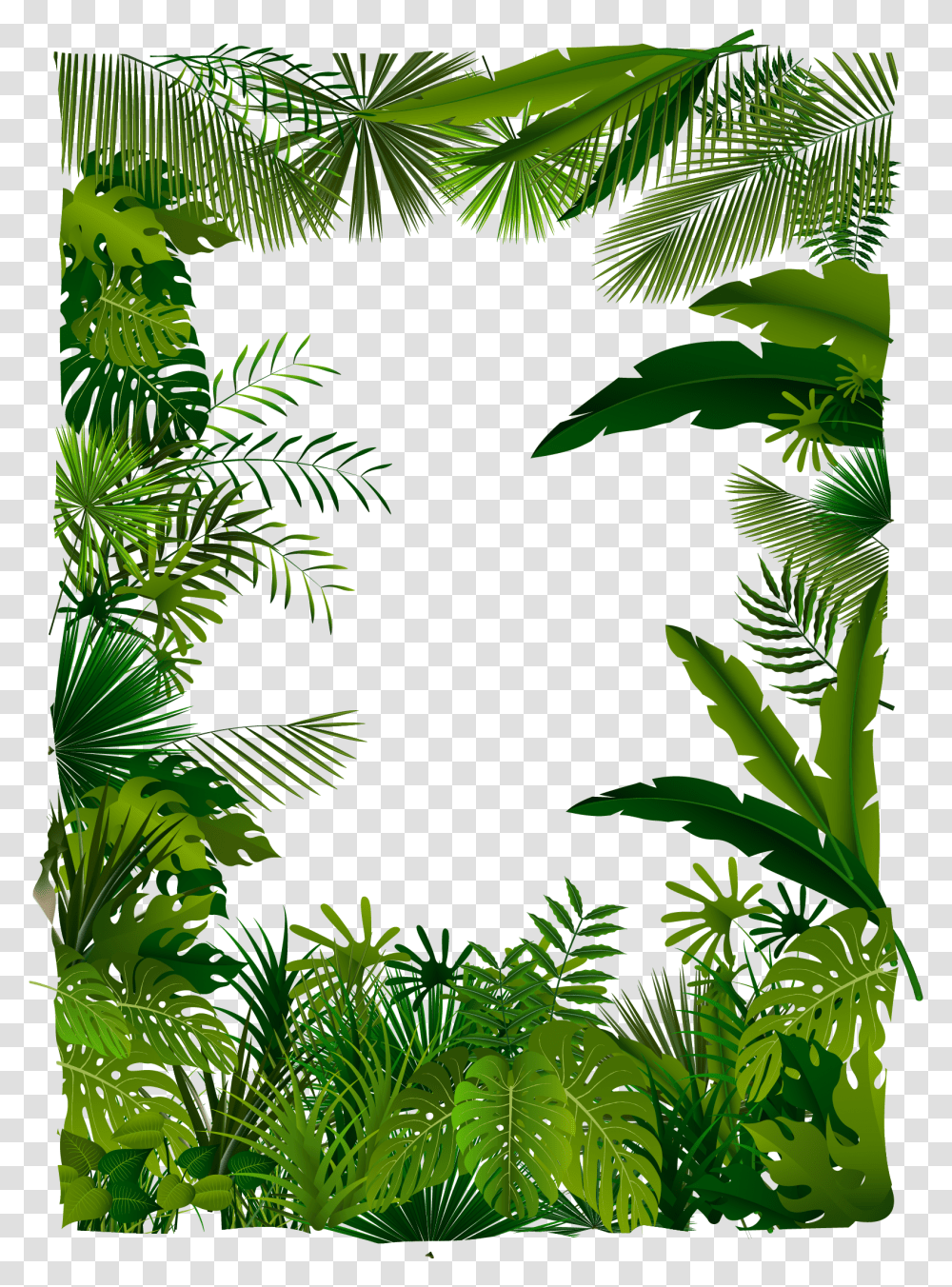 Download Trees Tree Illustration Tropical Euclidean Vector Tropical Forest Vector, Vegetation, Plant, Rainforest, Land Transparent Png