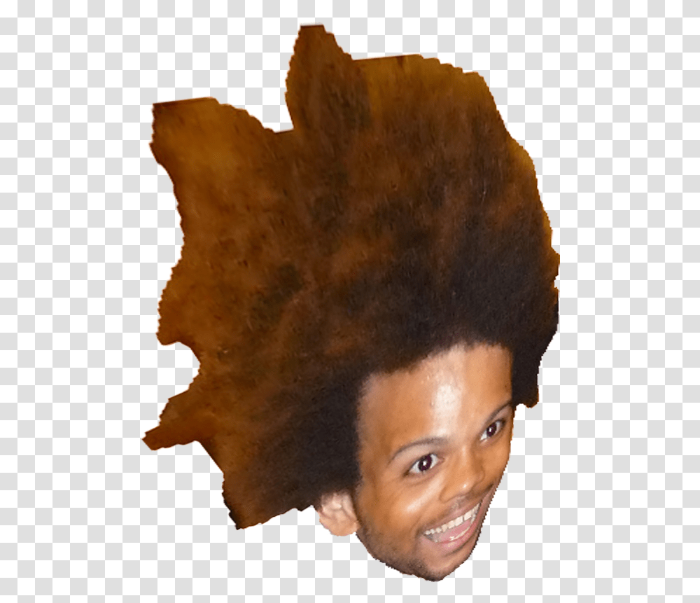 Download Trihard Child, Hair, Person, Human, Face Transparent Png