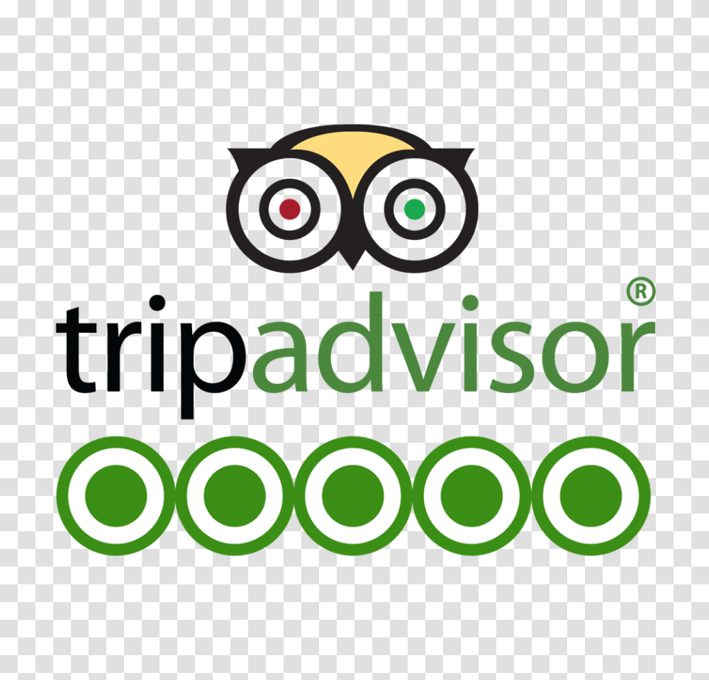 Download Tripadvisor Tripadvisor, Symbol, Text, Logo, Animal Transparent Png
