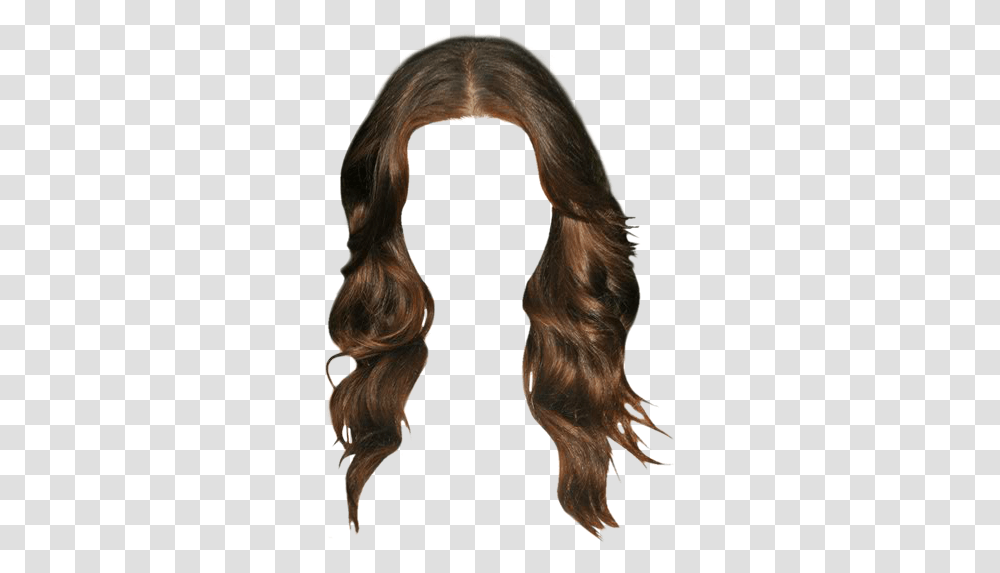 Download Troian Bellisario Long Wavy Hair Design, Person, Human, Ponytail Transparent Png