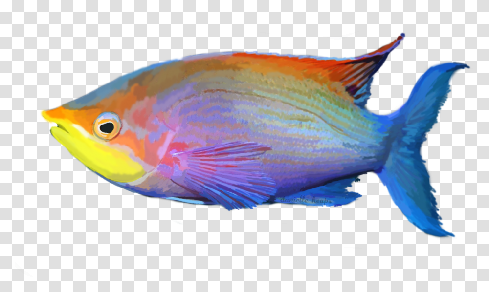 Download Tropical Fish Tropical Fish Background, Animal, Sea Life, Angelfish, Goldfish Transparent Png