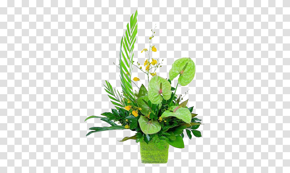 Download Tropical Flowers Bb Exotic Gardens St Patrick Day, Plant, Blossom, Ikebana, Art Transparent Png