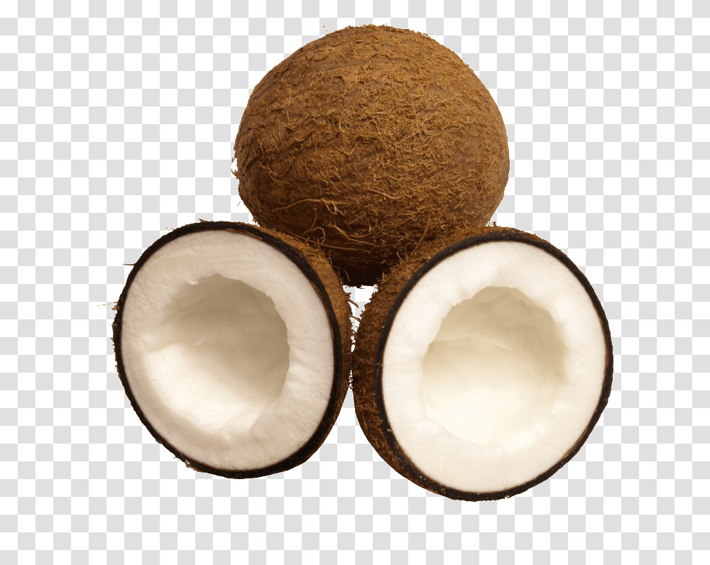 Download Tropical Fruit Coconut Fruit, Plant, Vegetable, Food Transparent Png