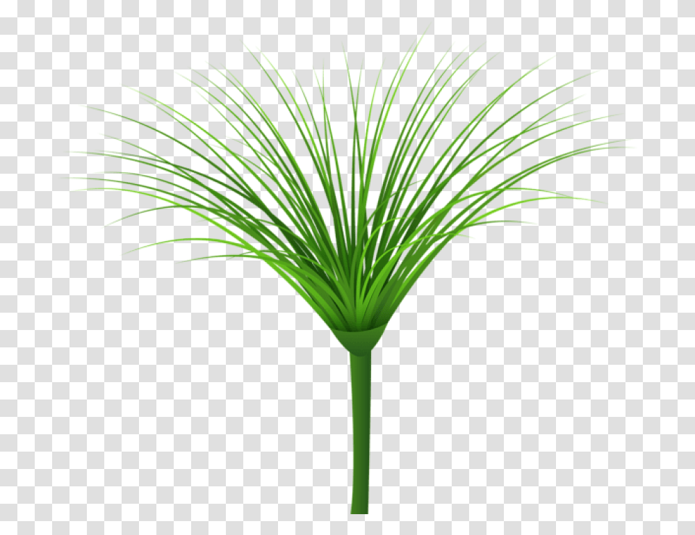 Download Tropical Green Leaf Clipart Photo Sweet Grass, Plant, Vegetation, Tree, Nature Transparent Png