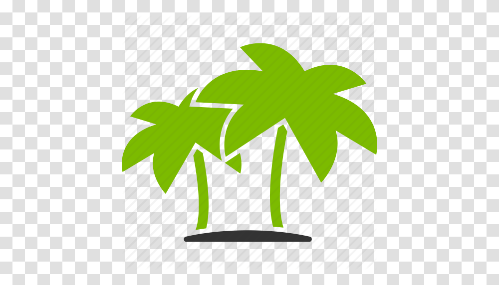 Download Tropics Icon Clipart Computer Icons Tropics Coconut, Leaf, Plant, Green Transparent Png