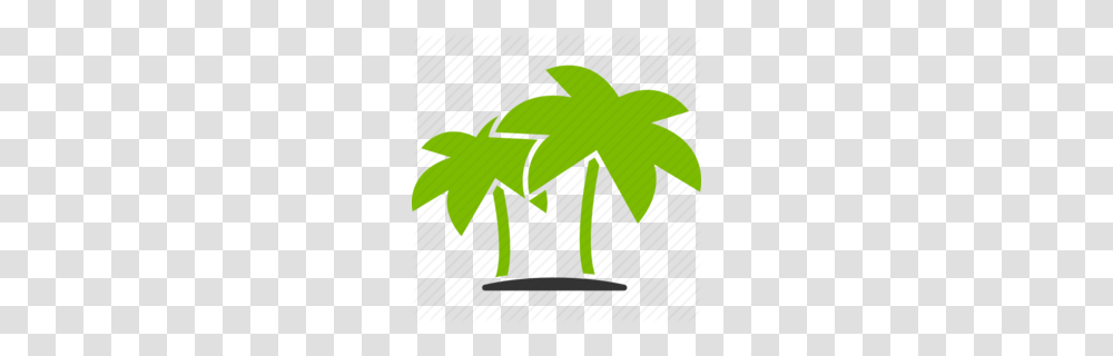 Download Tropics Icon Clipart Computer Icons Tropics Coconut, Leaf, Plant, Tree, Weed Transparent Png
