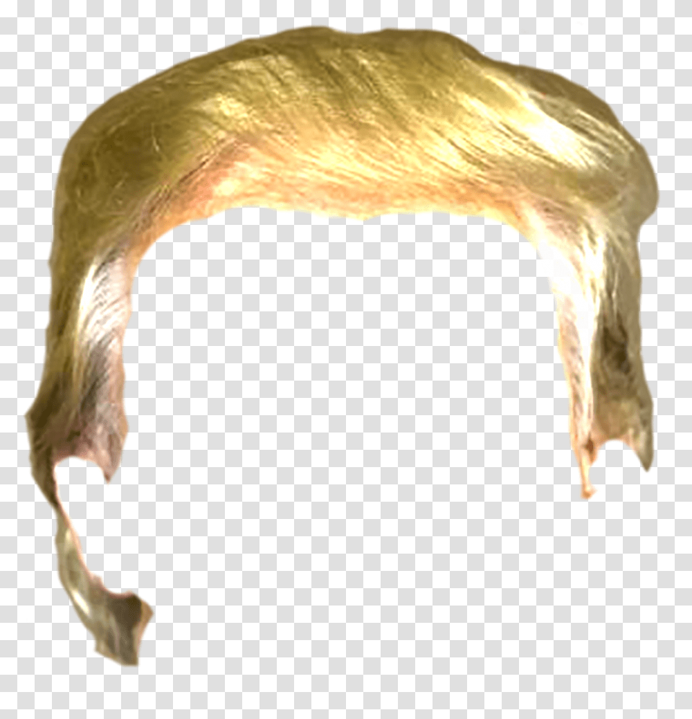 Download Trump Hair Trump Hair, Horse, Mammal, Animal, Beak Transparent Png