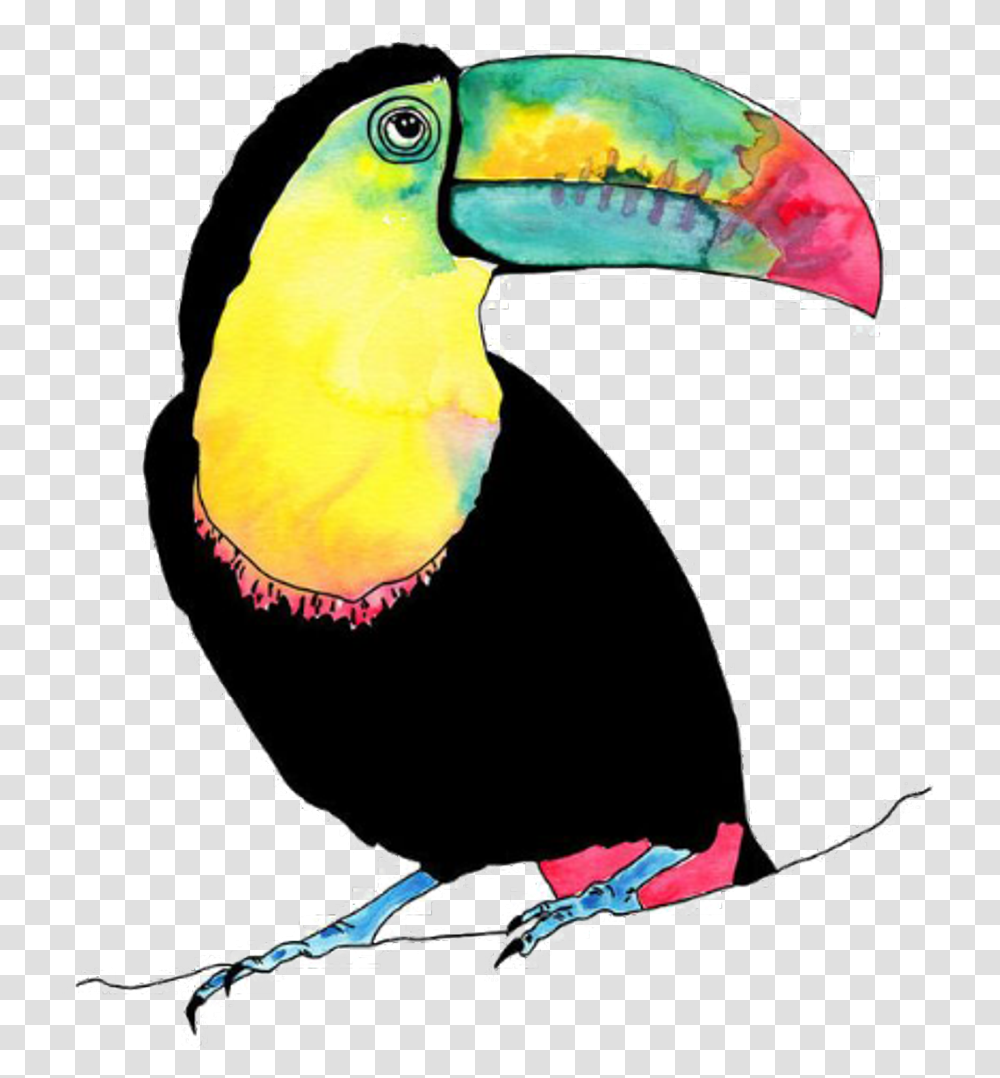 Download Tucan Bird Vogel Animal Birds Animals Toucan Illustration, Beak Transparent Png