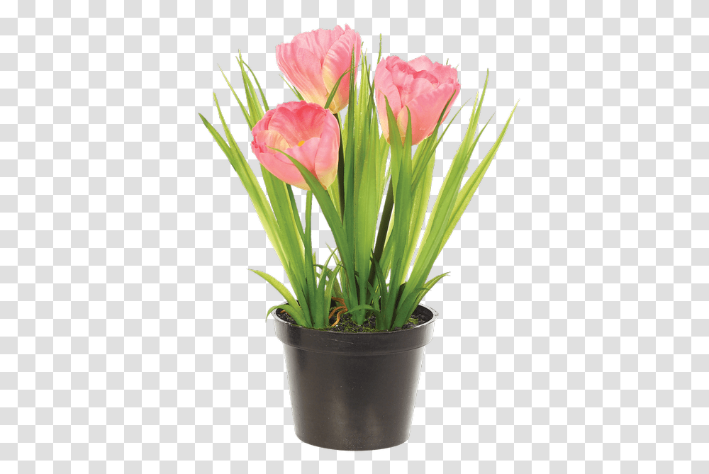 Download Tulip Bush In Planter Pink Artificial Flower Tulipa Humilis, Blossom, Flower Arrangement, Flower Bouquet, Rose Transparent Png