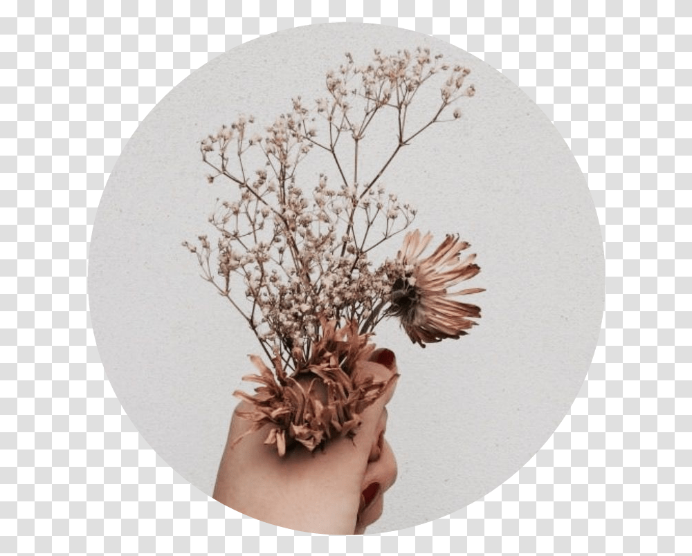Download Tumblr Aesthetic Brown Flower Flowers Brown Aesthetic, Pineapple, Plant, Person, Jar Transparent Png