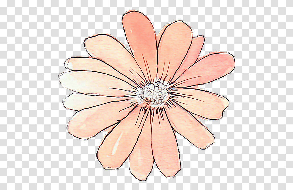 Download Tumblr Drawing Watercolor Peach Flower Flower Flower Sticker, Petal, Plant, Blossom, Insect Transparent Png