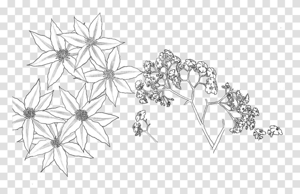 Download Tumblr Flower Flowar Parttern Background White, Floral Design, Pattern, Graphics, Lace Transparent Png