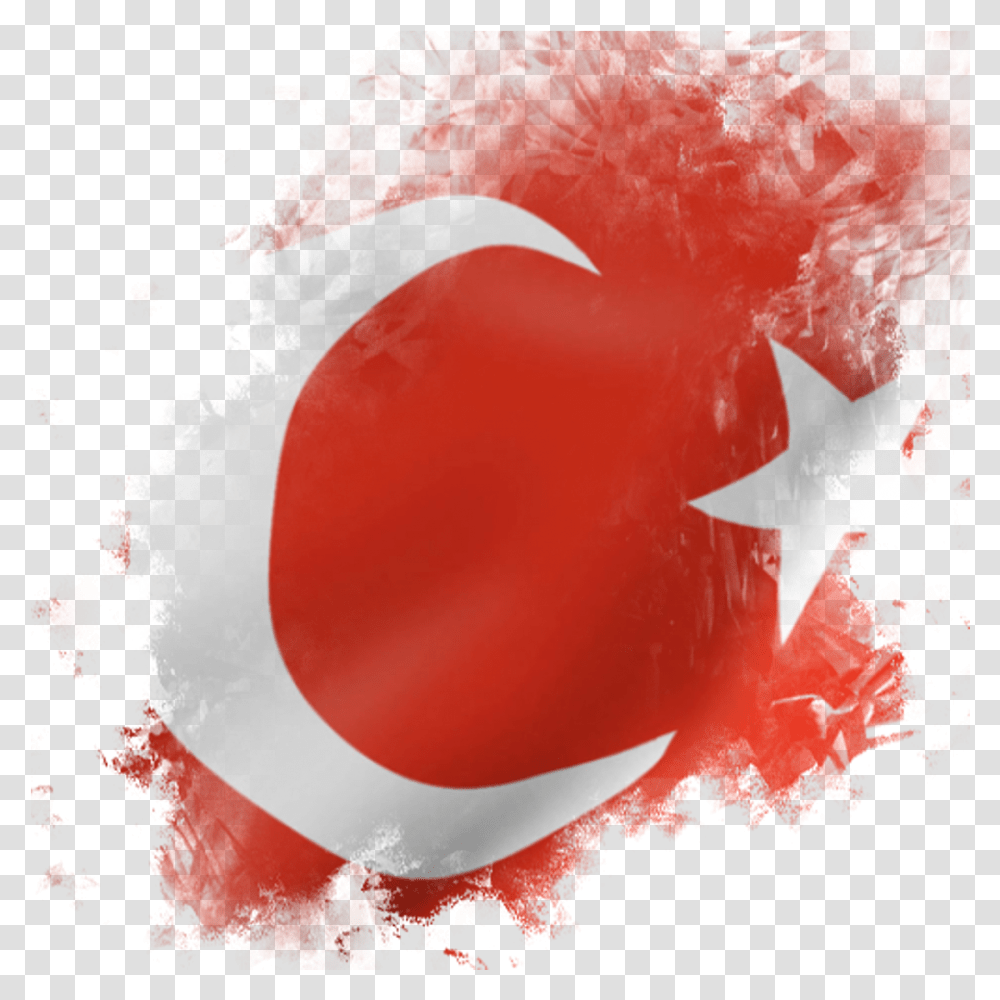Турецкий флаг логотип