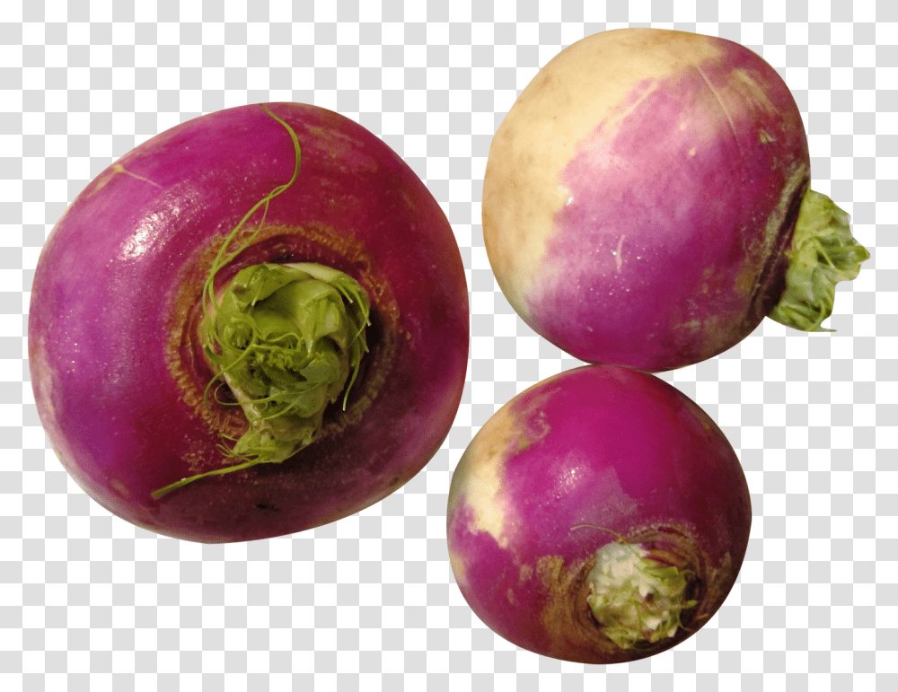 Download Turnip Image For Free Turnip, Produce, Vegetable, Food, Plant Transparent Png