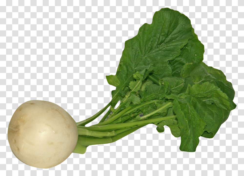 Download Turnip Image For Free Vegetables Background, Plant, Food, Produce, Leaf Transparent Png