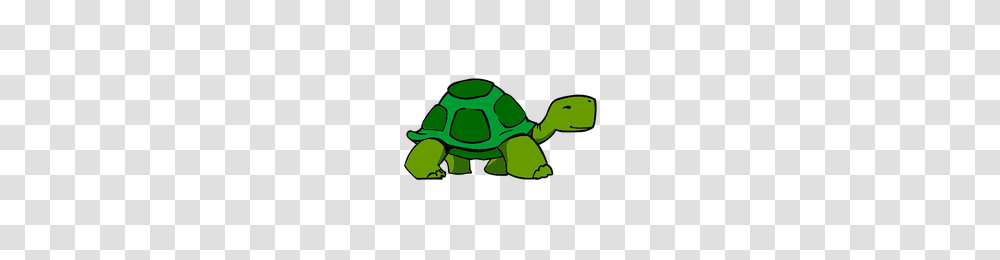 Download Turtle Category Clipart And Icons Freepngclipart, Tortoise, Reptile, Sea Life, Animal Transparent Png