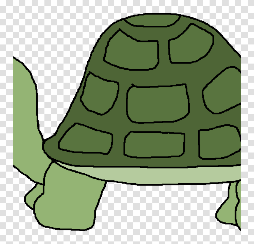 Download Turtle Clipart Turtle Clip Art Turtle Green Leaf, Nature, Outdoors, Snow, Building Transparent Png