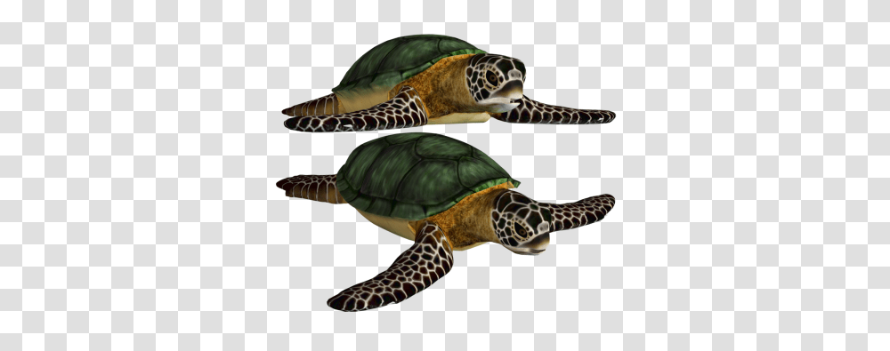 Download Turtle Free Image And Clipart, Tortoise, Reptile, Sea Life, Animal Transparent Png