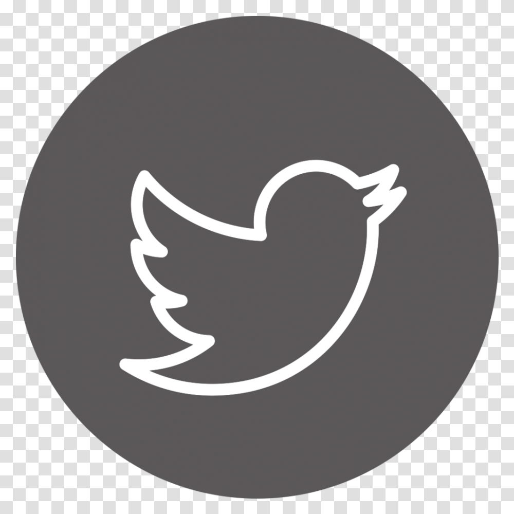 Download Twitter Icon Gray Twitter Icon Gray, Moon, Face, Stencil, Text Transparent Png