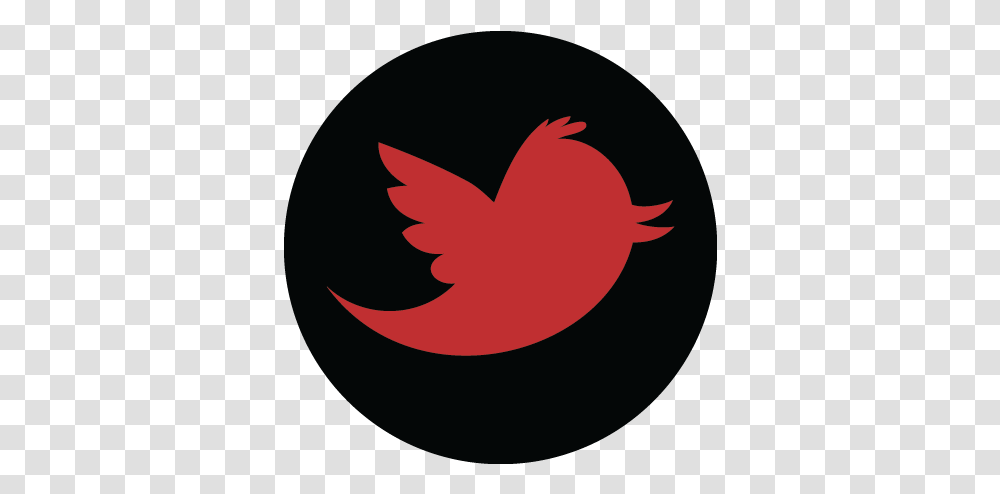 Download Twitter Icon Twitter Social Media, Logo, Symbol, Trademark, Animal Transparent Png