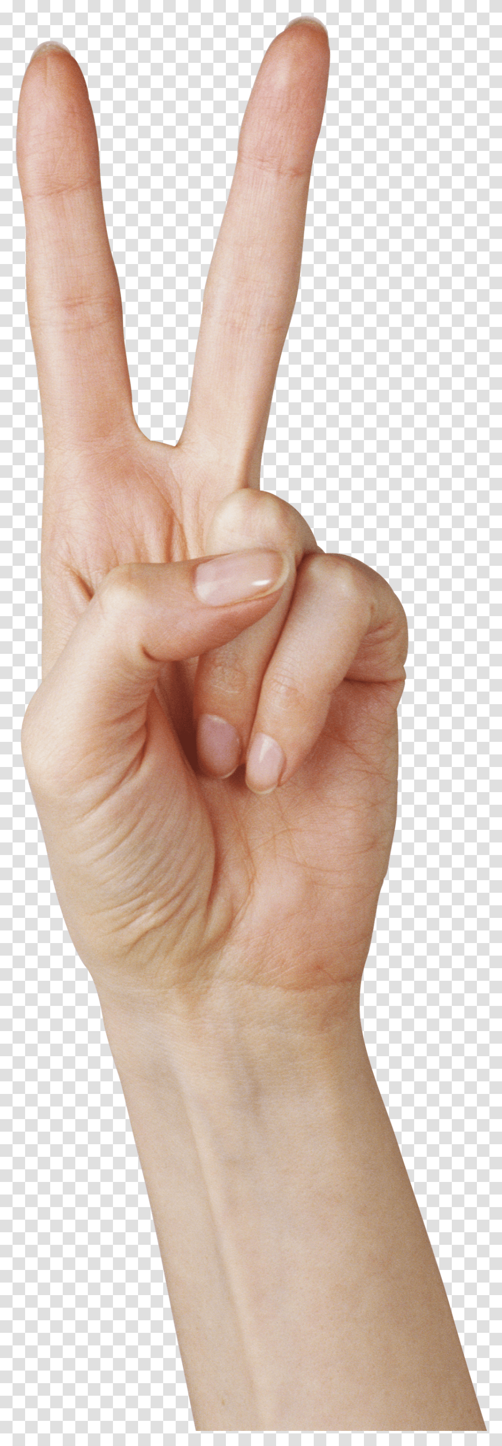 Download Two Finger Hand Image For Free Hand Peace And Love, Person, Human, Wrist Transparent Png