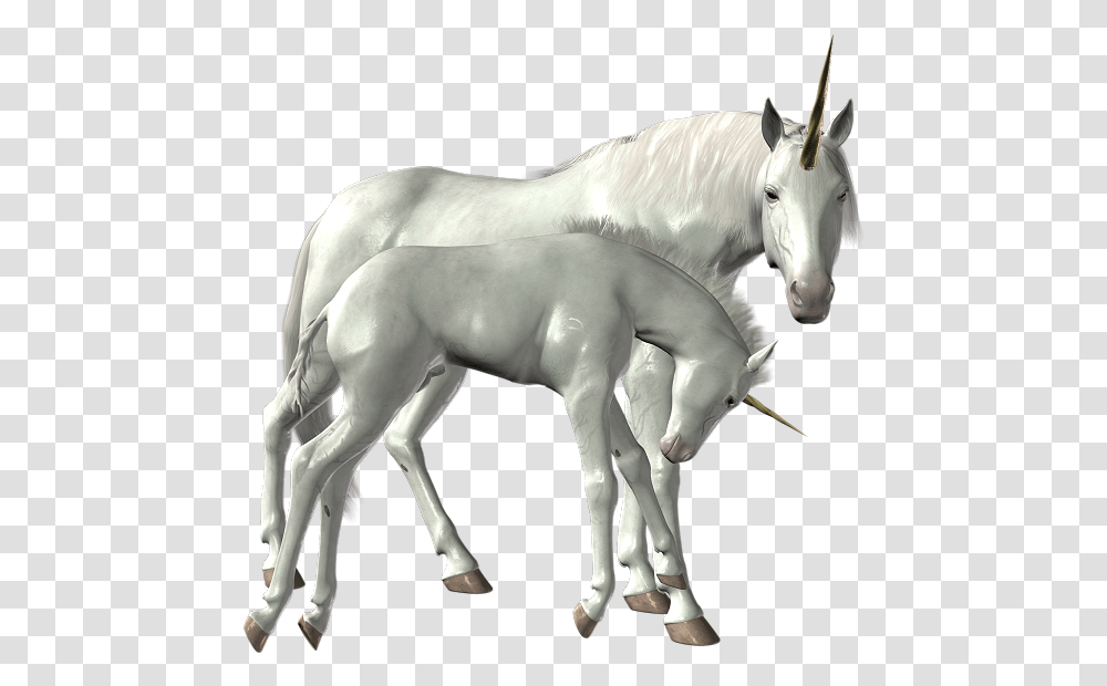 Download Unicorn Image For Free Unicorn, Horse, Mammal, Animal, Foal Transparent Png