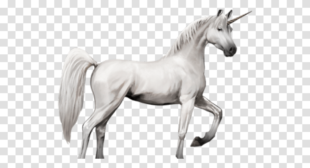Download Unicorn Images Horse With Wings 5 Animals Combined Into One, Colt Horse, Mammal, Andalusian Horse, Stallion Transparent Png