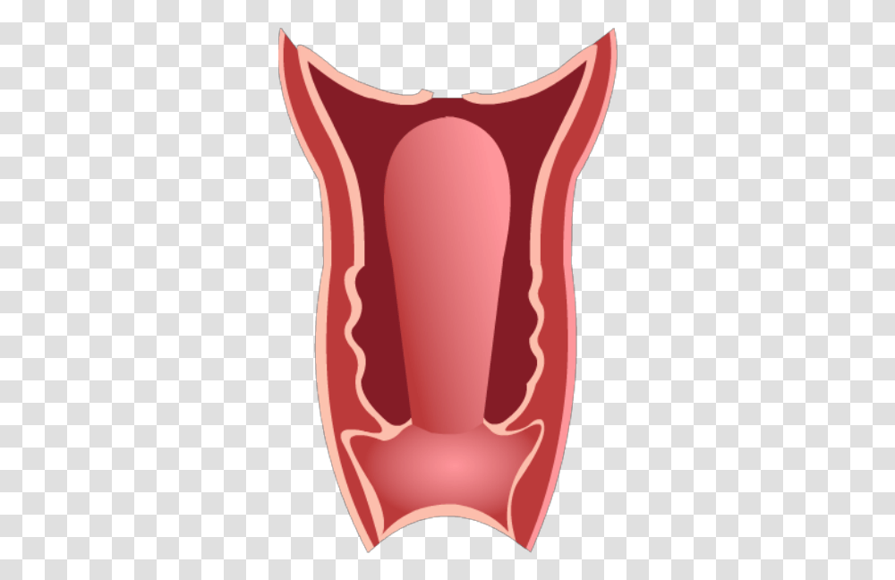 Download Vagina Illustration, Sweets, Food, Confectionery, Glass Transparent Png