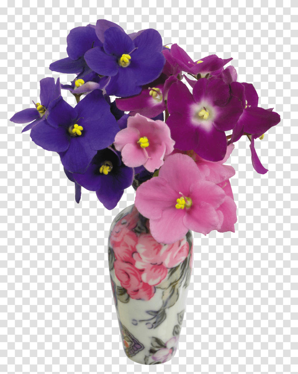 Download Vase Image For Free Flower Color Violet In A Vase, Plant, Geranium, Blossom, Flower Arrangement Transparent Png