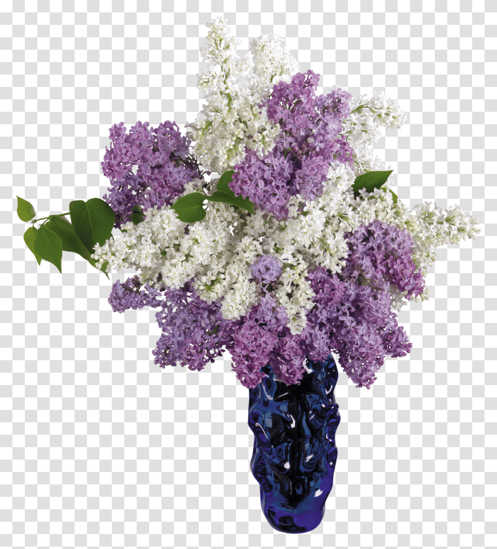 Download Vase Image For Free Free Flower Vase, Plant, Blossom, Lilac Transparent Png