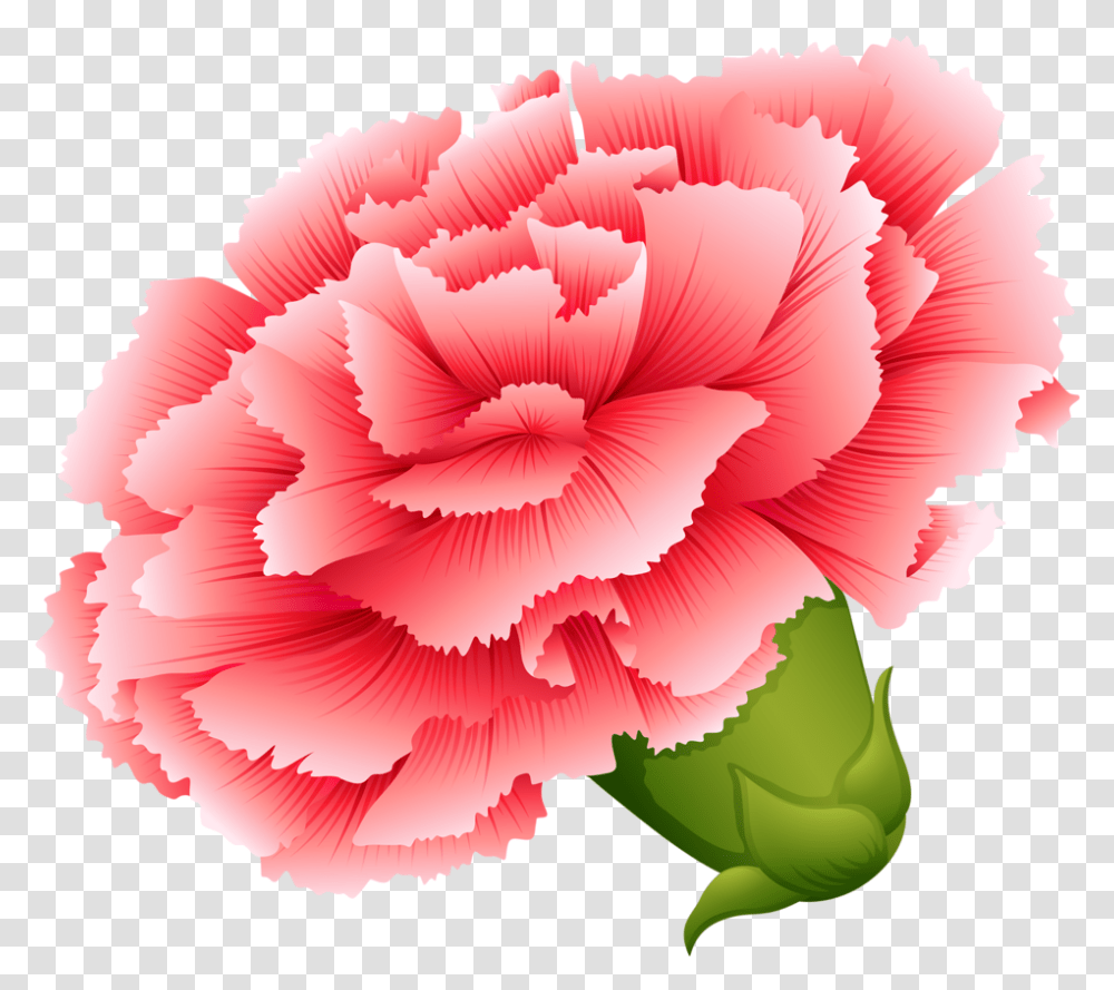 Download Vector Button Flowers And Carnation Flower Clipart, Plant, Blossom Transparent Png