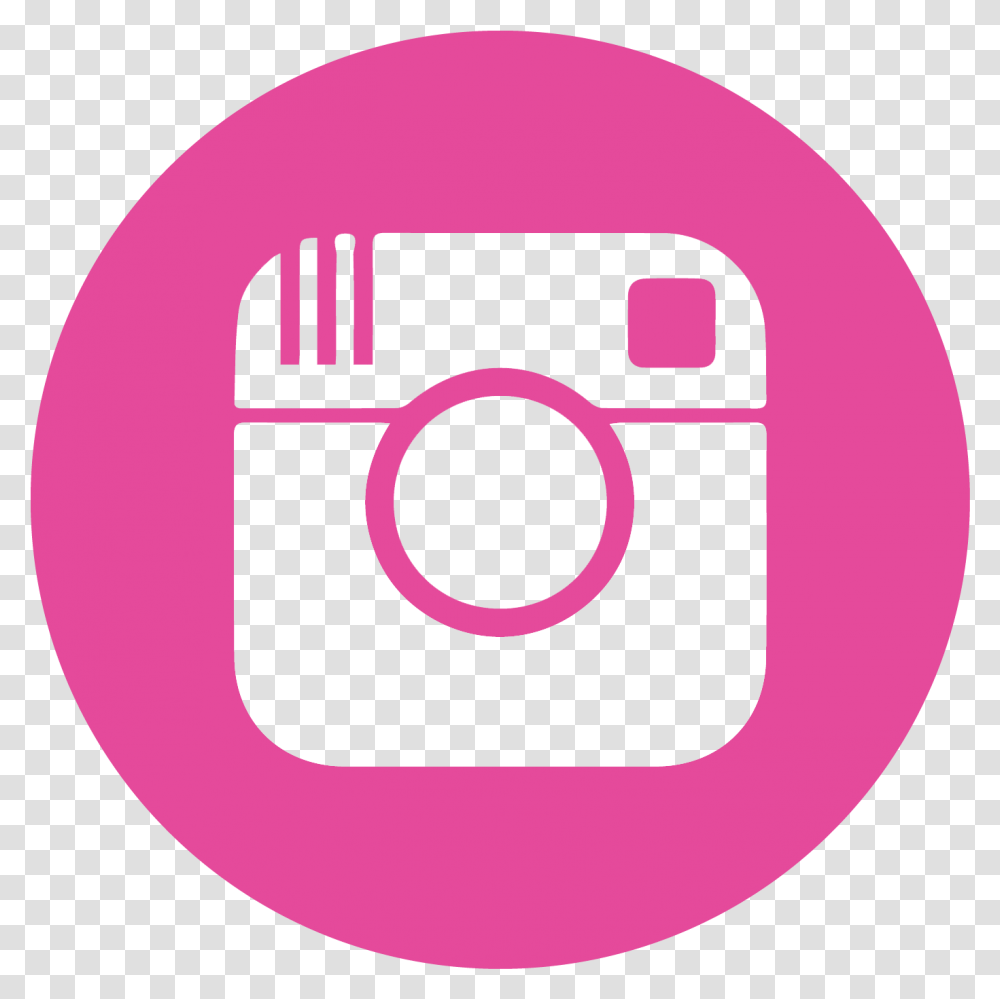 Download Vector Instagram Icons Color Simbolo Insta Rosa, Logo, Symbol, Disk, Label Transparent Png