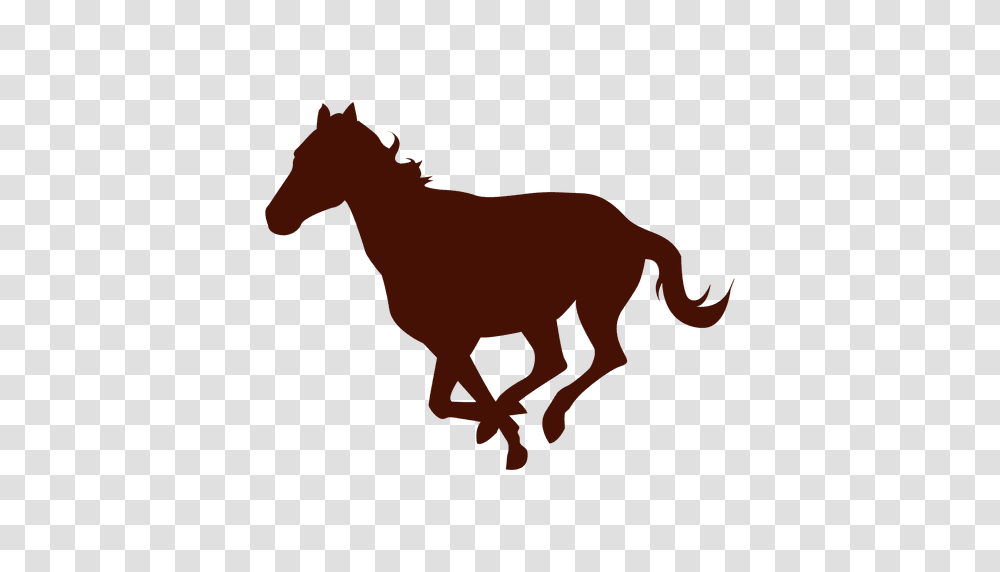 Download Vector, Mammal, Animal, Cow, Horse Transparent Png