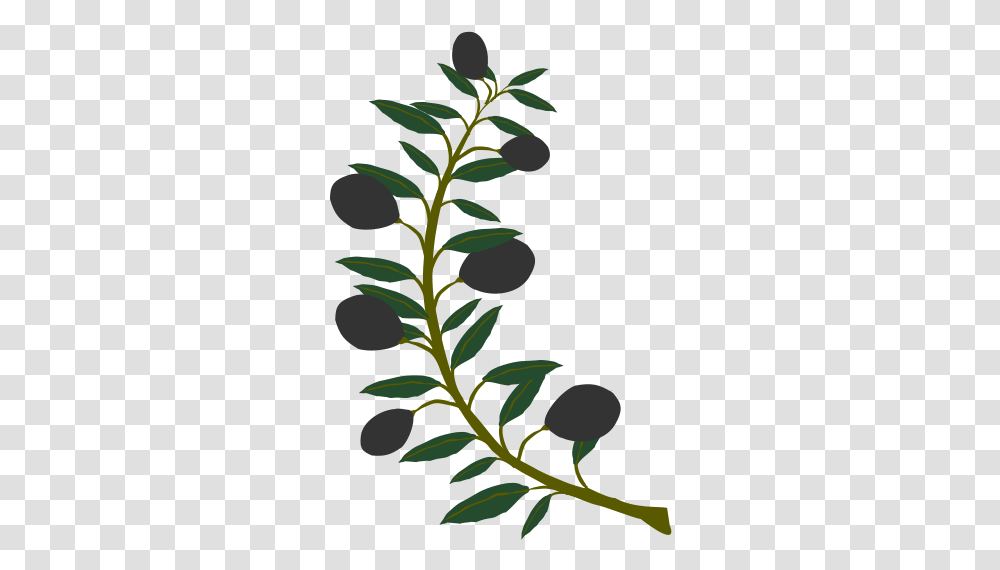 Download Vector Olive Branch Black Olive Vectorpicker Olive Tree Symbol Athena, Green, Plant, Leaf, Flower Transparent Png